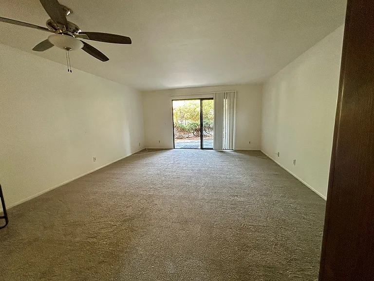 446 Orange Blossom — Photo 4
