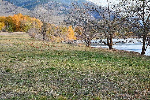 1st image of 3 Wild Horse Dr