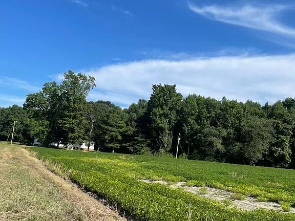 3rd image of 11925 Us Highway 301