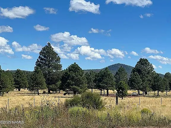 665 S Dust Devil Dr — Photo 15