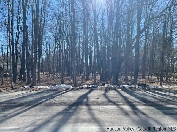 TBD Pine Bush Road, Stone Ridge, NY 12484