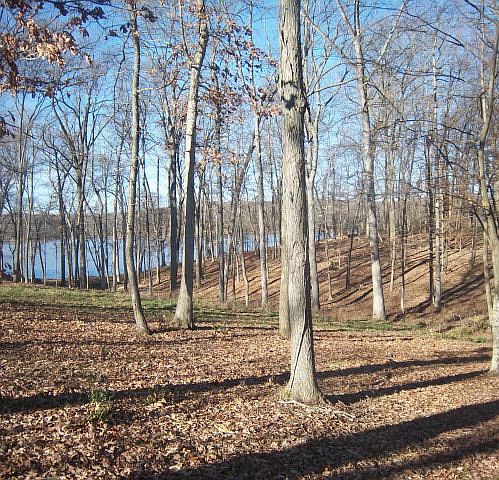 2nd image of Killebrew Ln