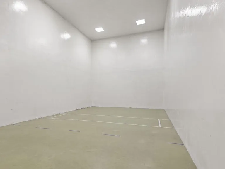 Squash or handball court