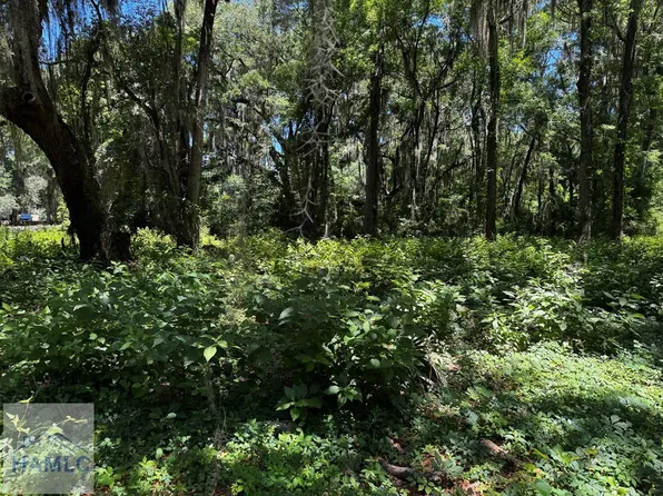 73 Tolomato Dr, Darien, GA 31305
