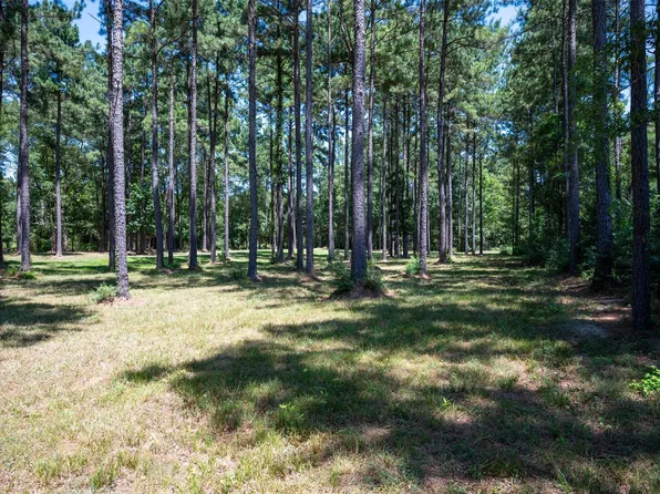 County Road 4670, Fred, TX 77616