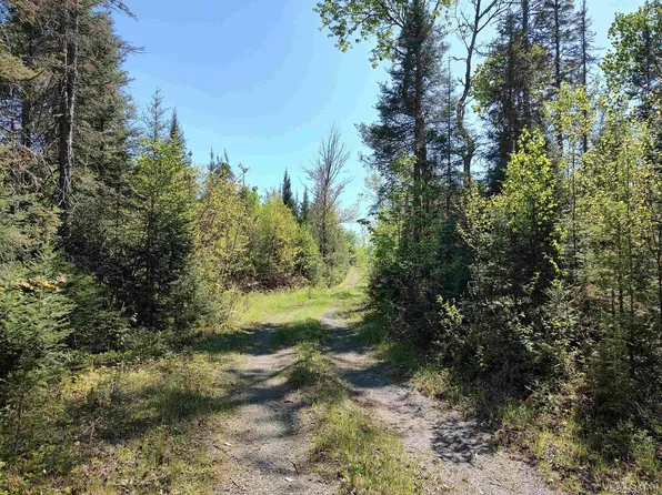 Us Highway 41, Covington, MI 49919