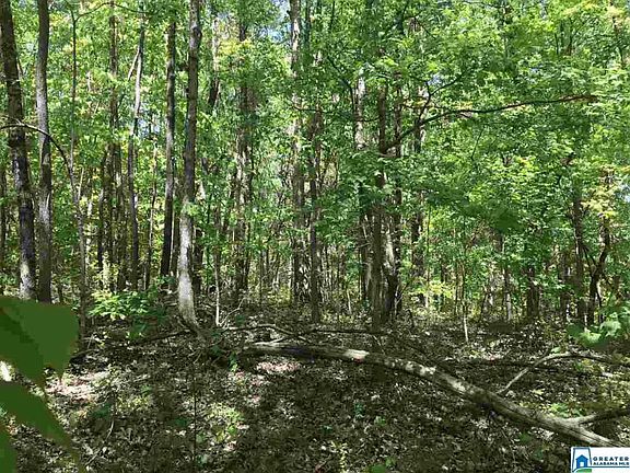 2nd image of 0 Shoal Crest Dr Lot 12-13