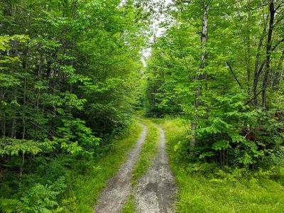 Lot 31.1 & 31.2 Bluff Road, Peru, ME, 04290