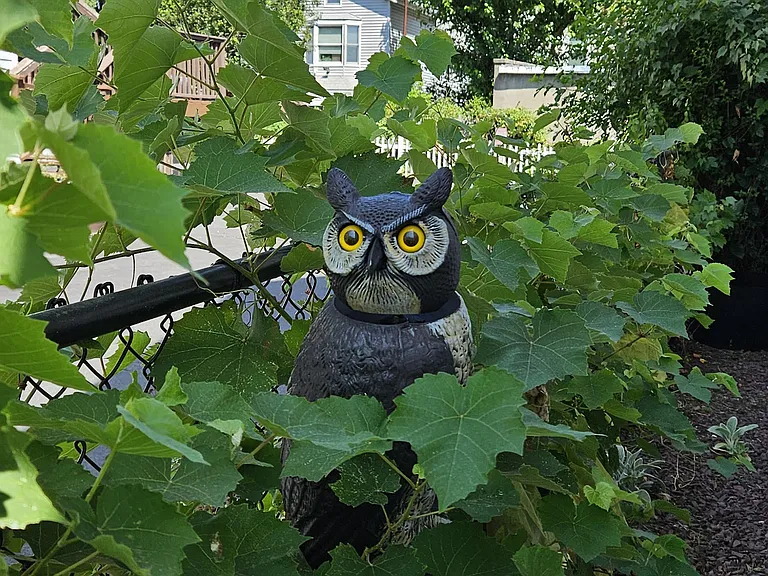 41 Howard St — Photo 16