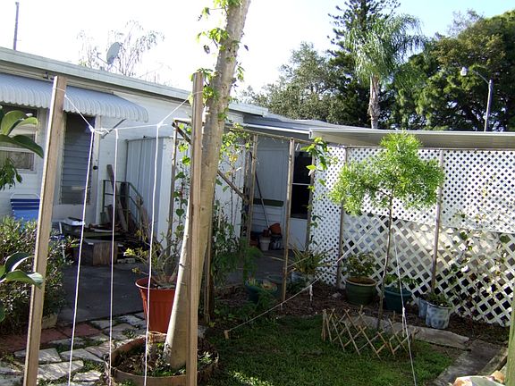 back patio