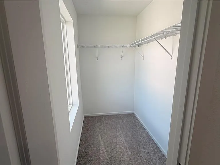806 Lynx St — Photo 18