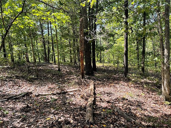 4th image of Little Borough Ln