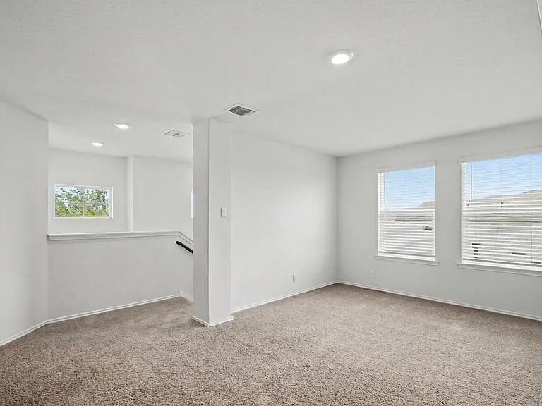 15434 Shortwing — Photo 13