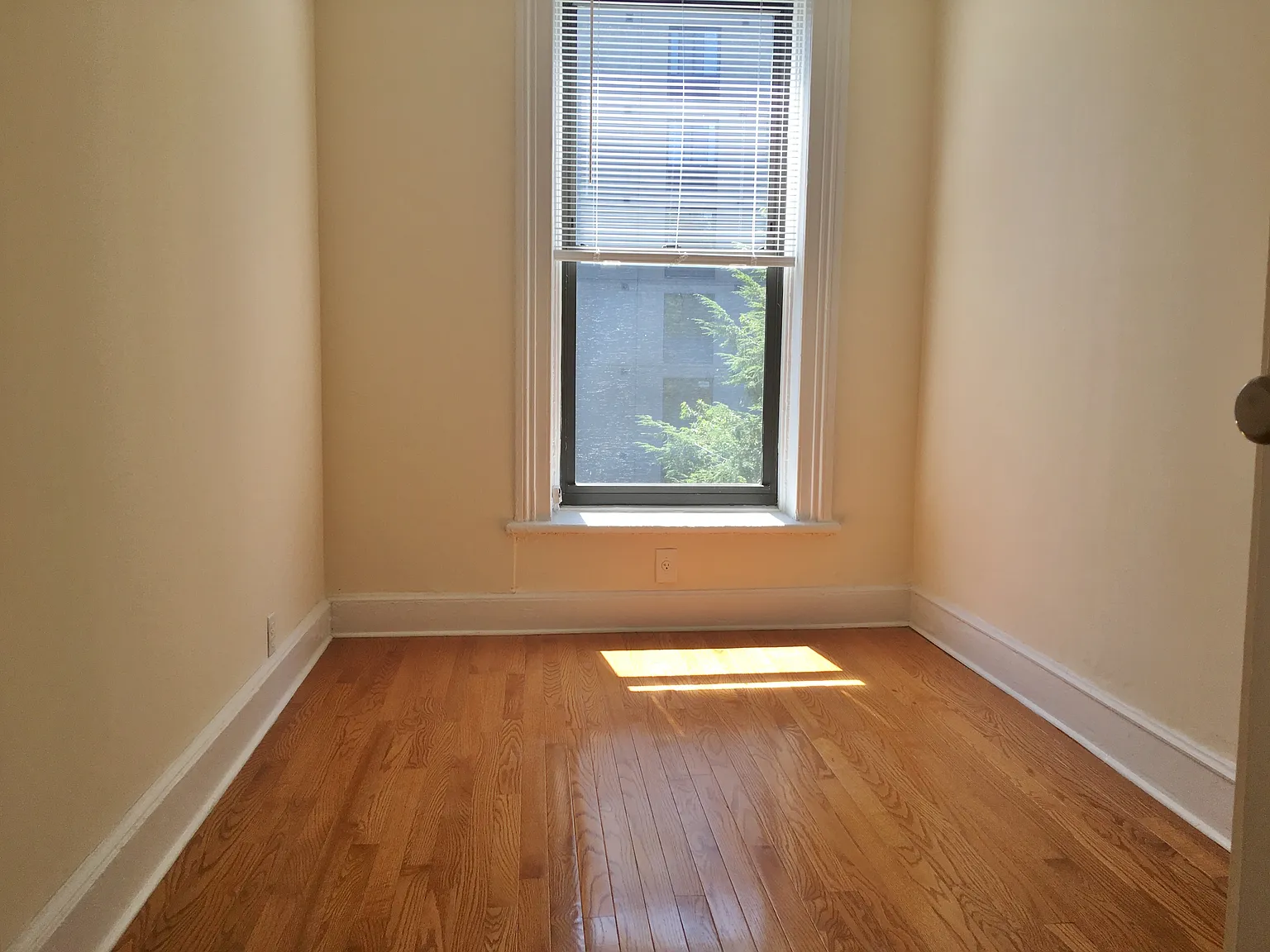 32 Lefferts Place — Photo 4