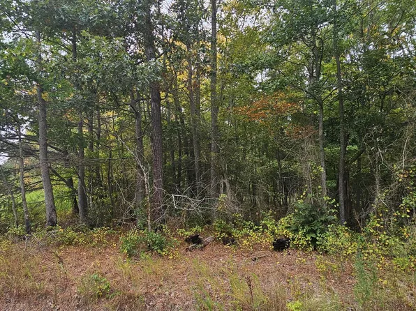 0 Mount Vernon Rd, Princess Anne, MD 21853