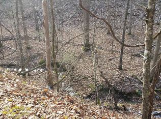 Tbd Little Back Creek Rd, Warm Springs, VA 24484