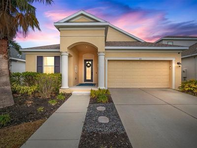 211 Shell Creek Ct, Apollo Beach, FL, 33572