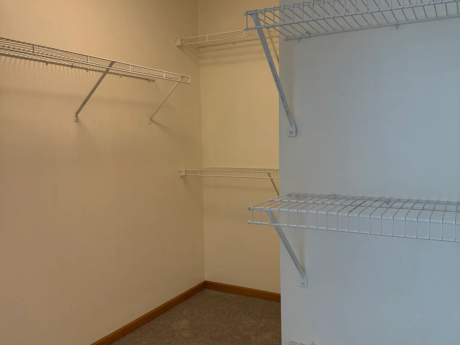 2 bed, 1.5 bath, 1269 sqft, $1,800 — Photo 4