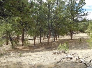 61 Hackamore Ct, Hartsel, CO 80449