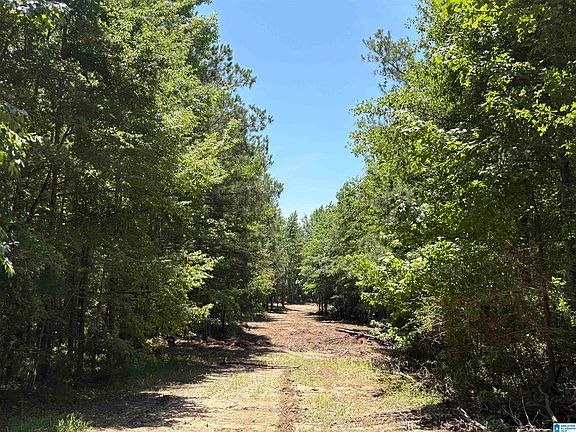 4th image of 0 State Highway 191 #1