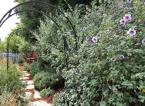 Landscaped front gardens and arbor