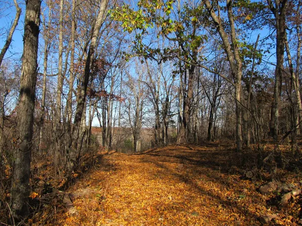 9560 Madison Rd, Pettigrew, AR 72752