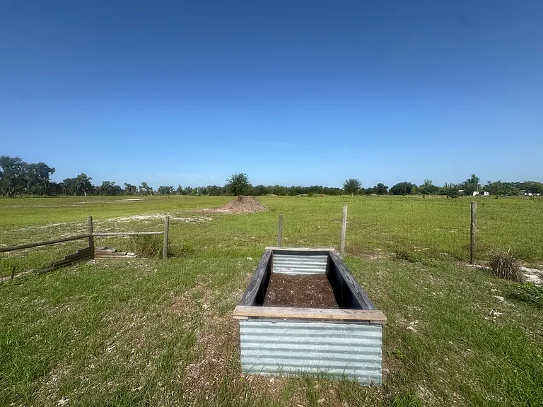 Herb & Veggie Bed