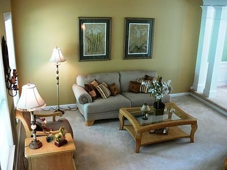 Suken Living Room off of the 2 Story Foyer