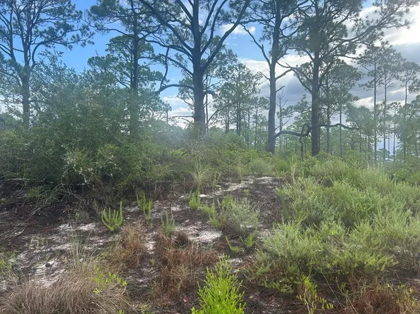 (undisclosed Address), Carrabelle, FL 32322