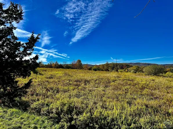 565 Poplar Hill, Dover, NY 12522