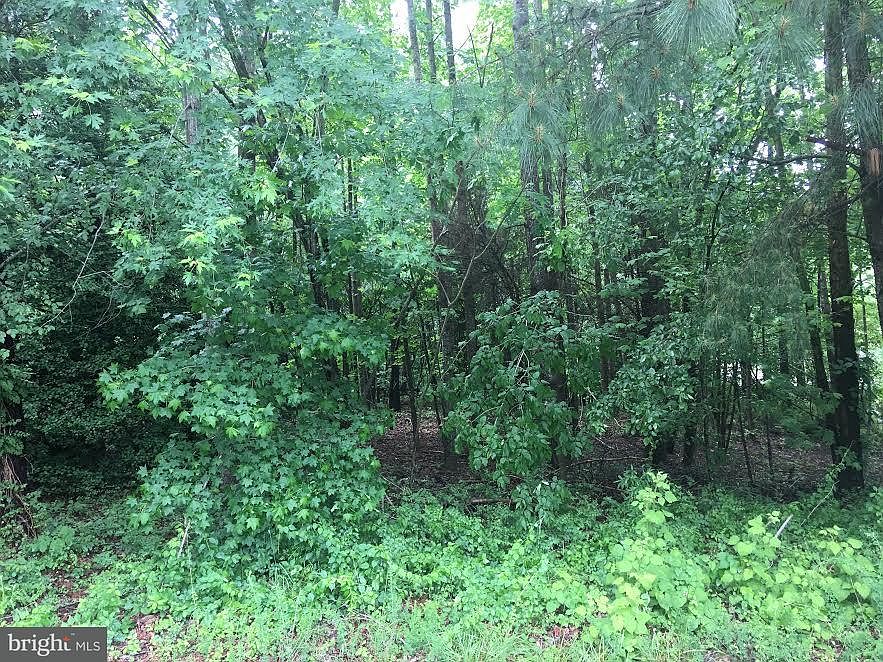 2nd image of 1366 Solomons Island Rd