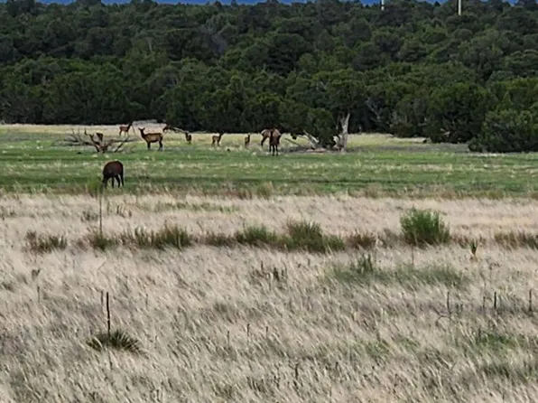 Tbd Acr 3398, Vernon, AZ 85940