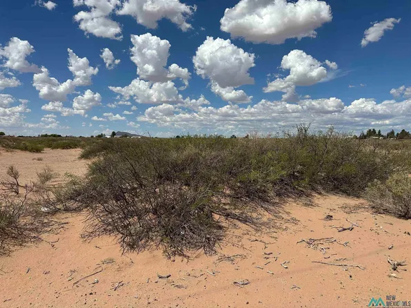 Overhill Dr NW #2, Deming, NM 88030