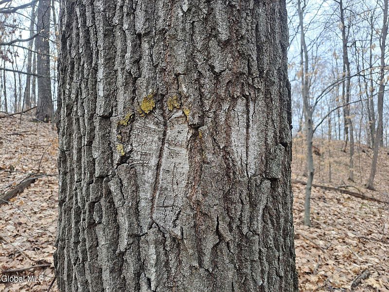 5th image of L 9.1 State Line Road