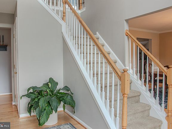 5th image of 225 Canonero Dr