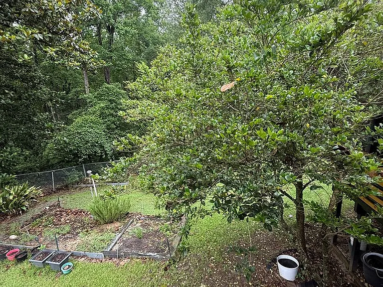 108 Oak St — Photo 4