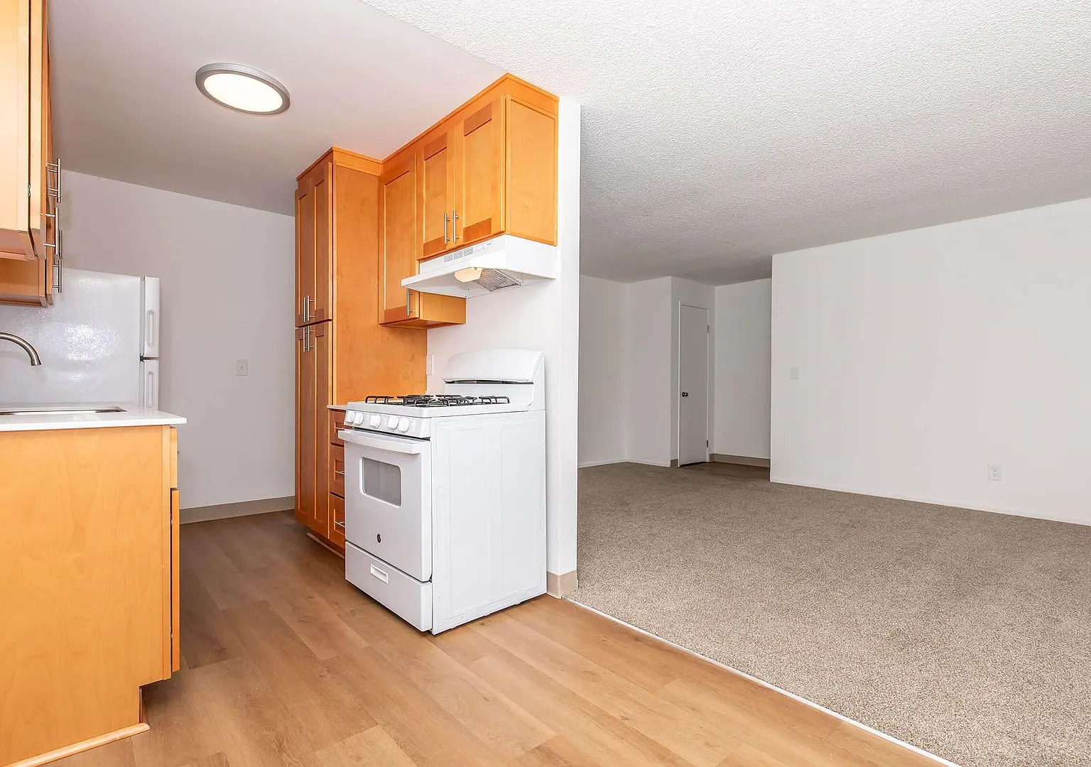 Shannon South Apartments — Photo 4