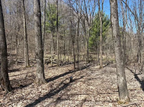 LOT 2 Sweetfern Ln, South Frontenac, ON K0H 1X0
