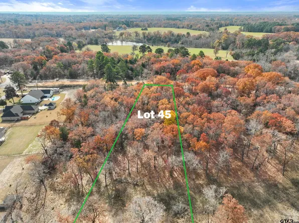Private Road 6305 Lot 45, Mineola, TX 75773