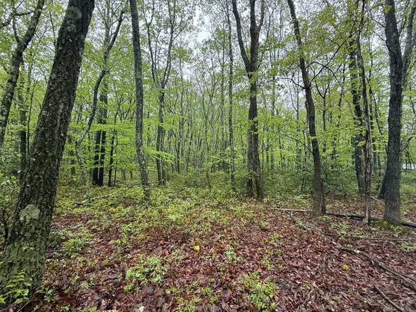 3 Sportsmans Trl, Stroudsburg, PA 18360