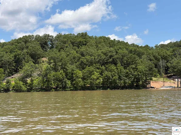 33297 Wendys Ln, Lincoln, MO 65338
