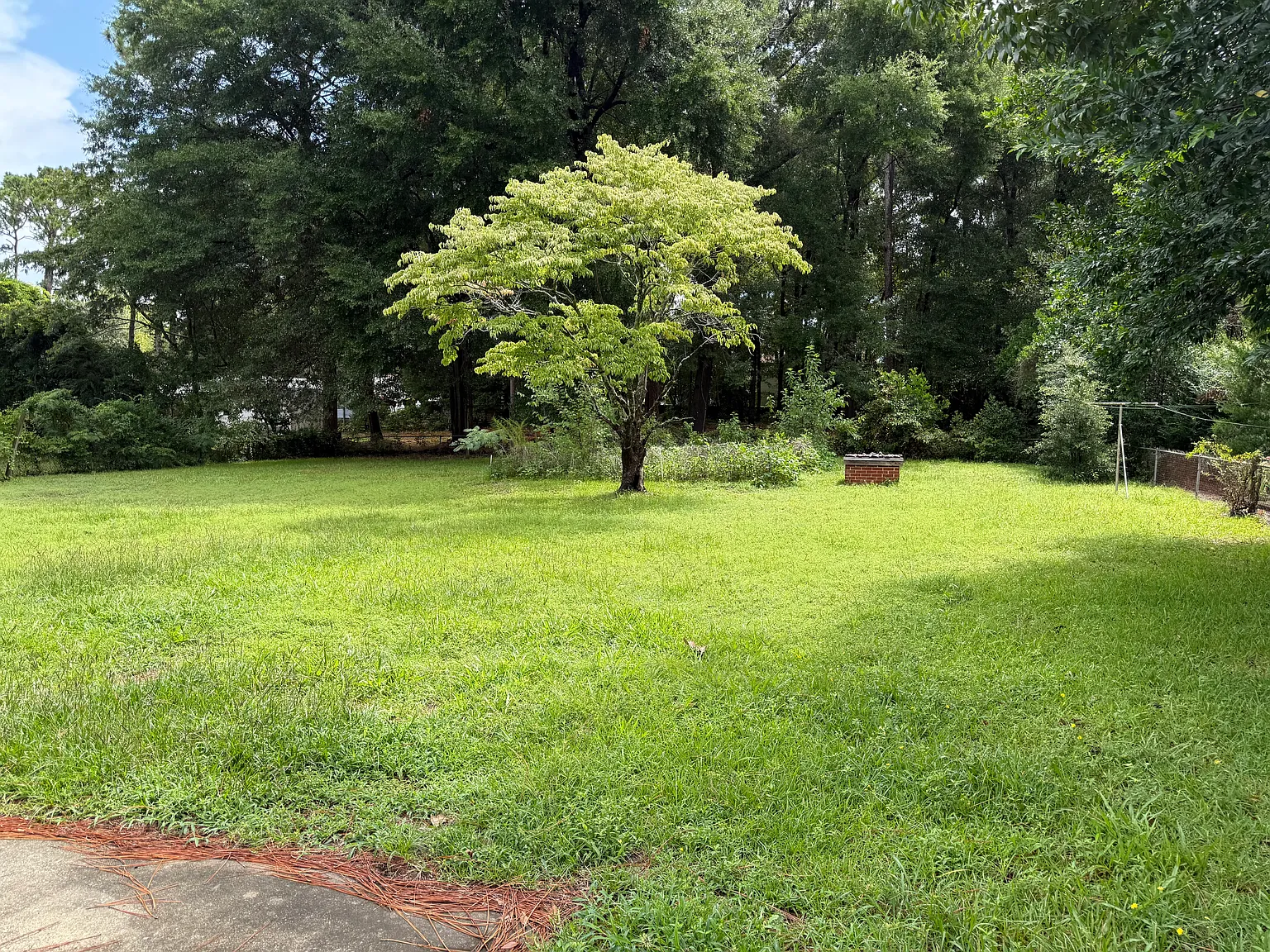 3 bed, 1149 sqft, $2,550 — Photo 2