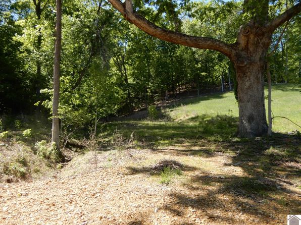 7-8 Roy Harris Rd, Kuttawa, KY 42055
