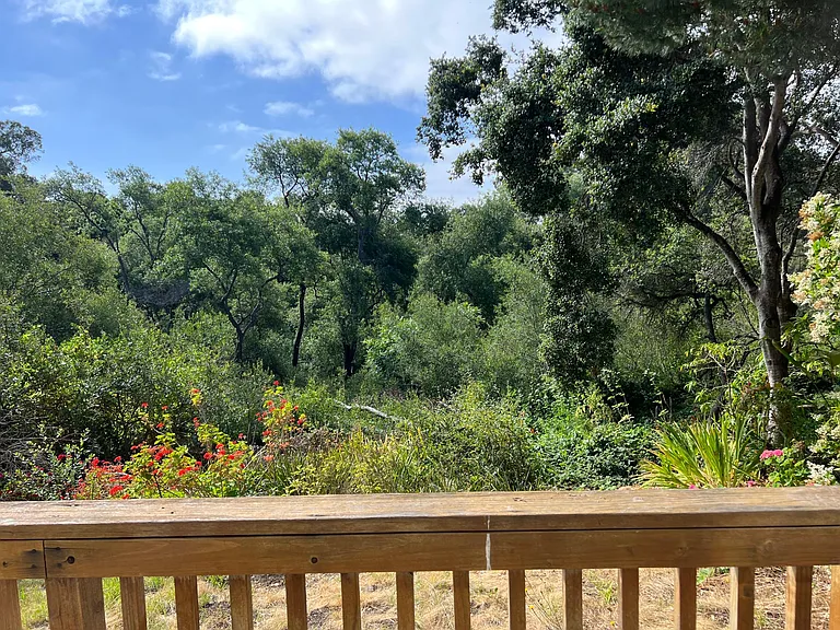 2524 Charlene Ln — Photo 22