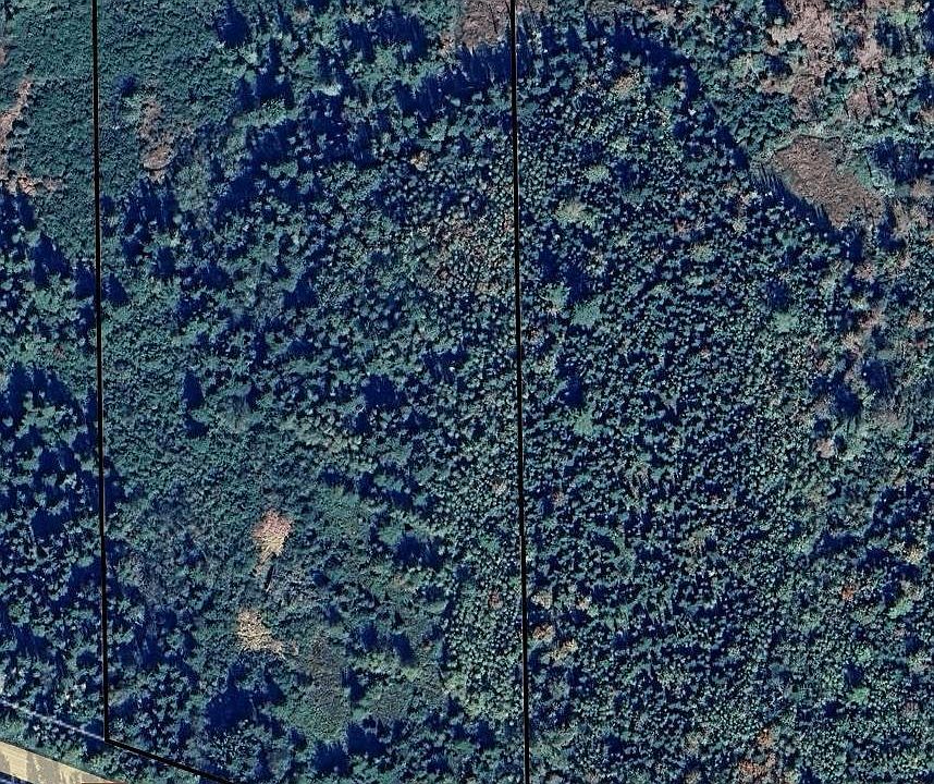 2nd image of 204 Birchwood Rd