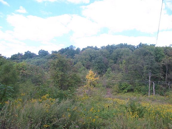 2nd image of 90 Hilltop Ln