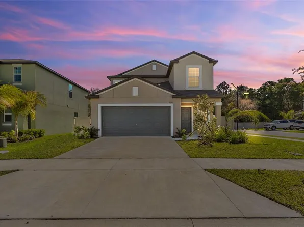 2050 Stellar Brilliance Way, Lutz, FL 33558