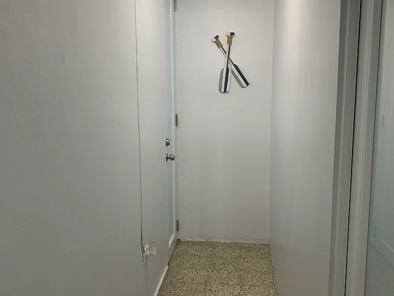 1 Calle Amalia Paoli 1 #TOA — Photo 20