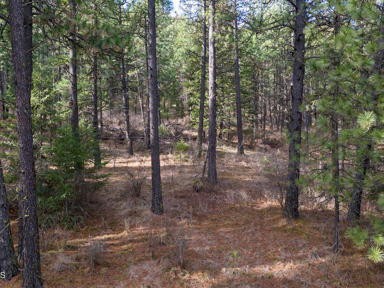 Nna Shady Ln, Desmet, ID 83824 MLS 24856 Zillow