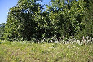 1st image of 5.62 Highway 206 E #S